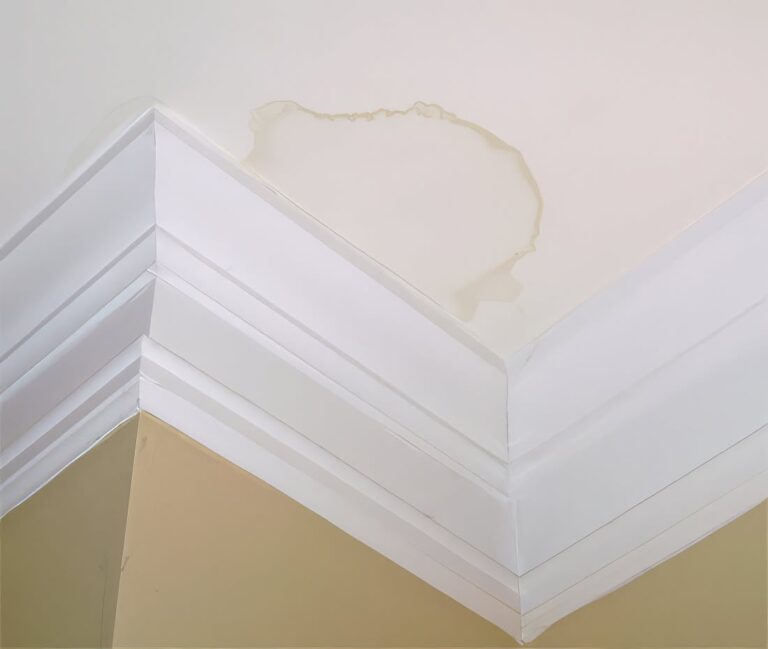 Water stain on a ceiling caused by an active roof leak